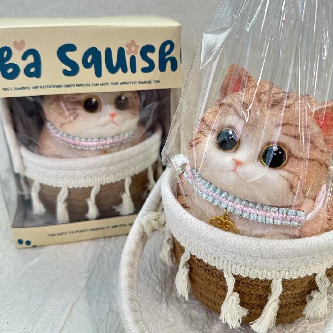 Cat ruirui Squishy toy