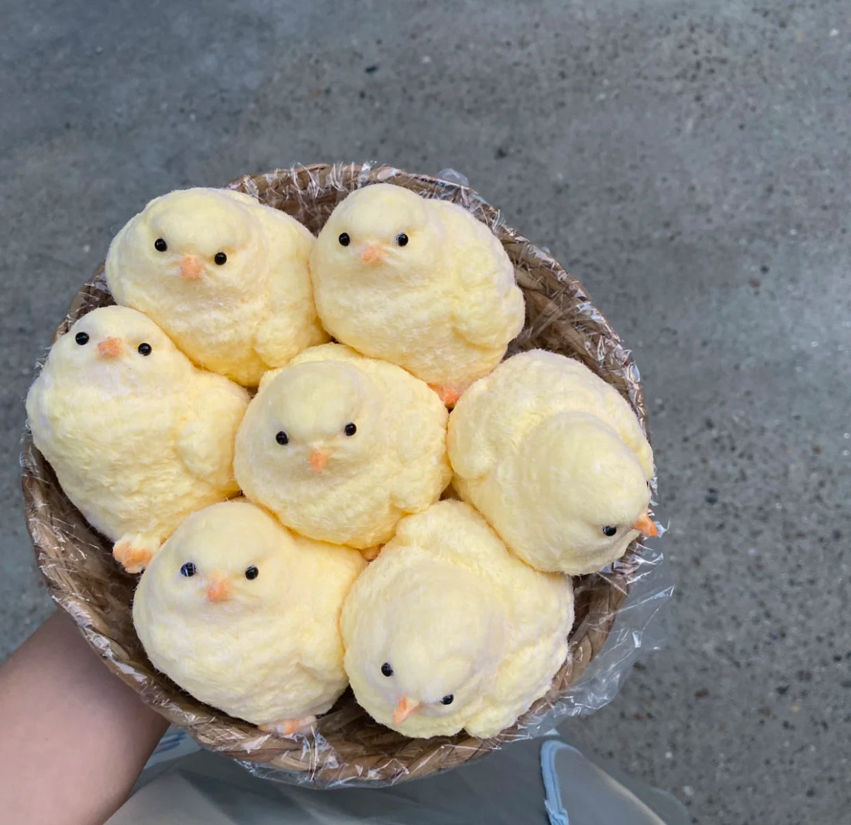 Flocked Chicken ✨