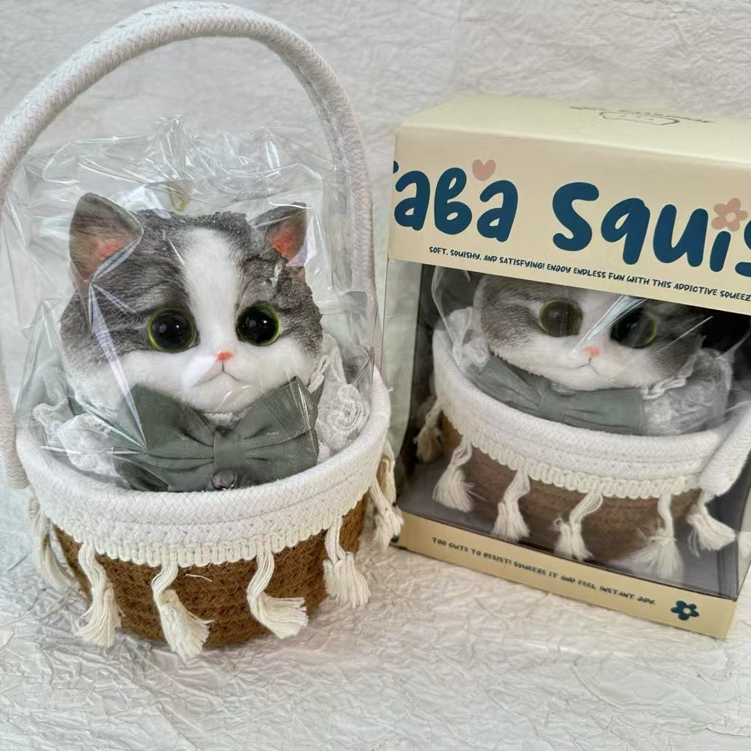 Cat ruirui Squishy toy