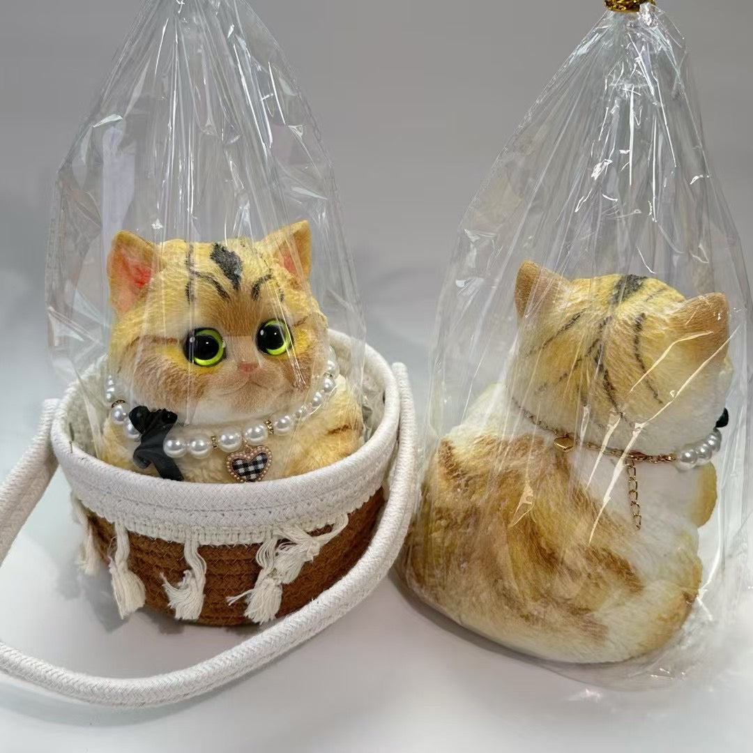 Cat ruirui Squishy toy