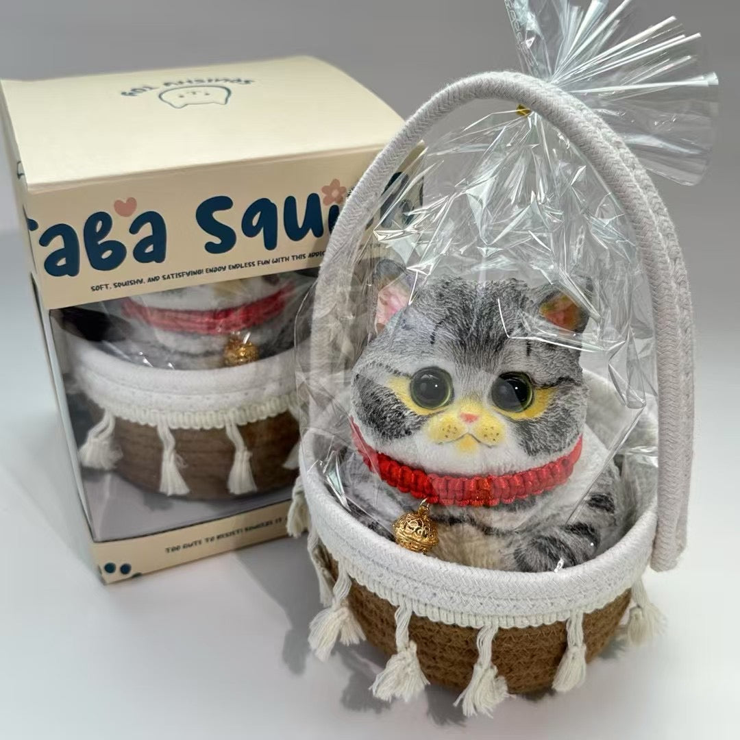Cat ruirui Squishy toy