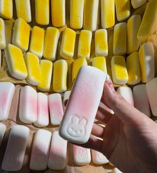 5pcs Bunny Rice Cake Stick ruirui Squishy toy