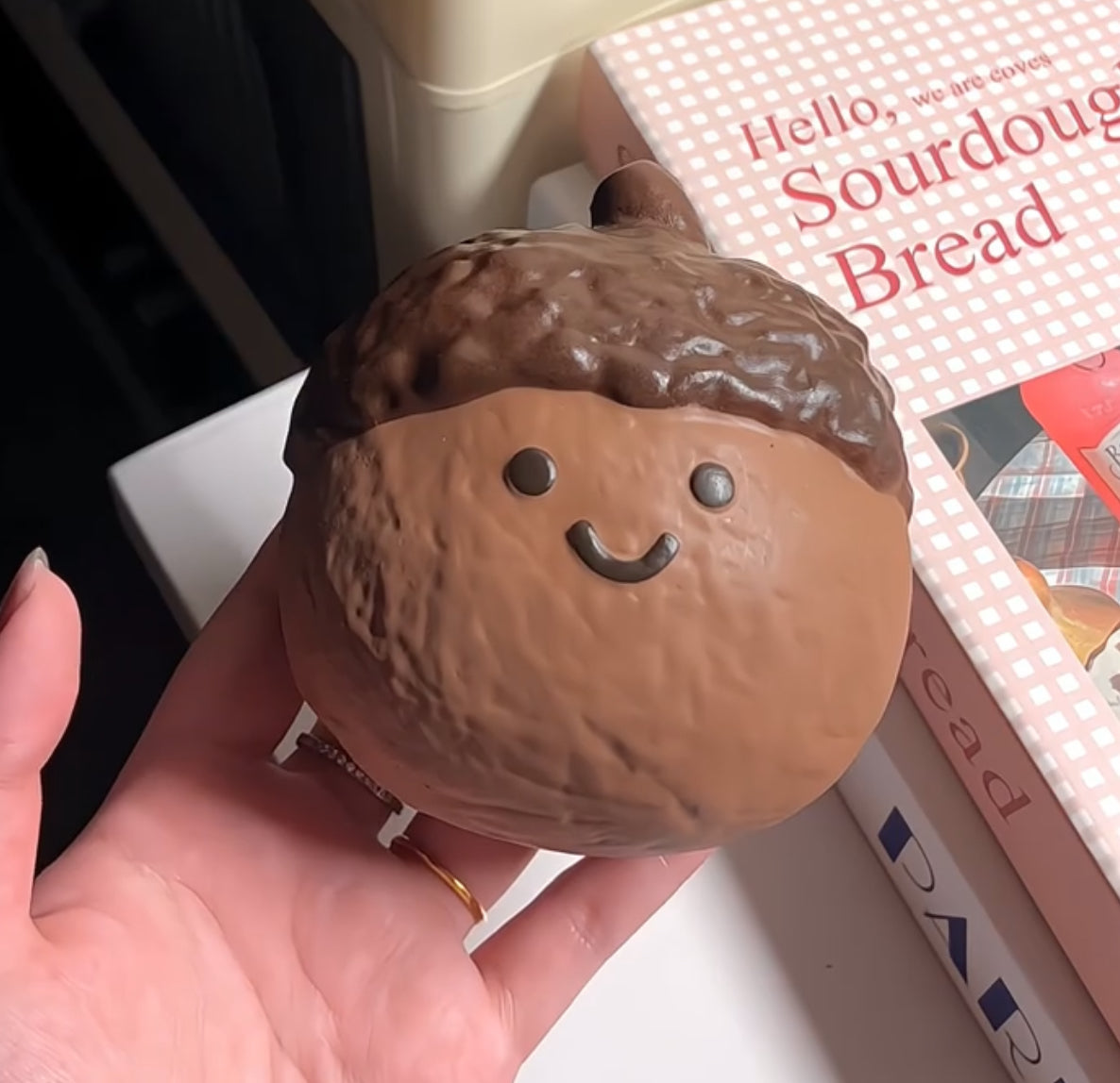 Chestnut Bread ruirui Squishy toy