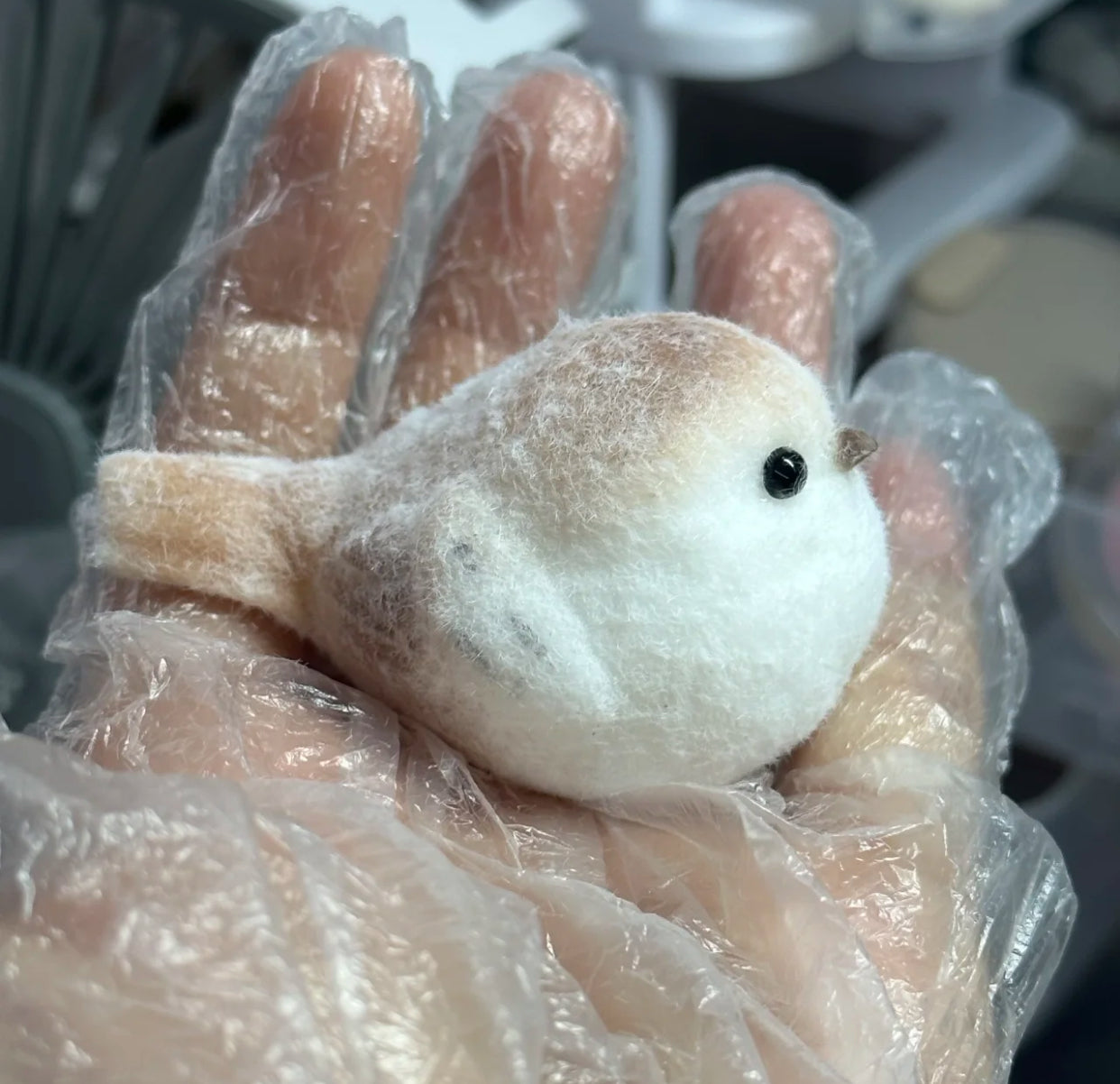 Songbird ruirui Squishy toy