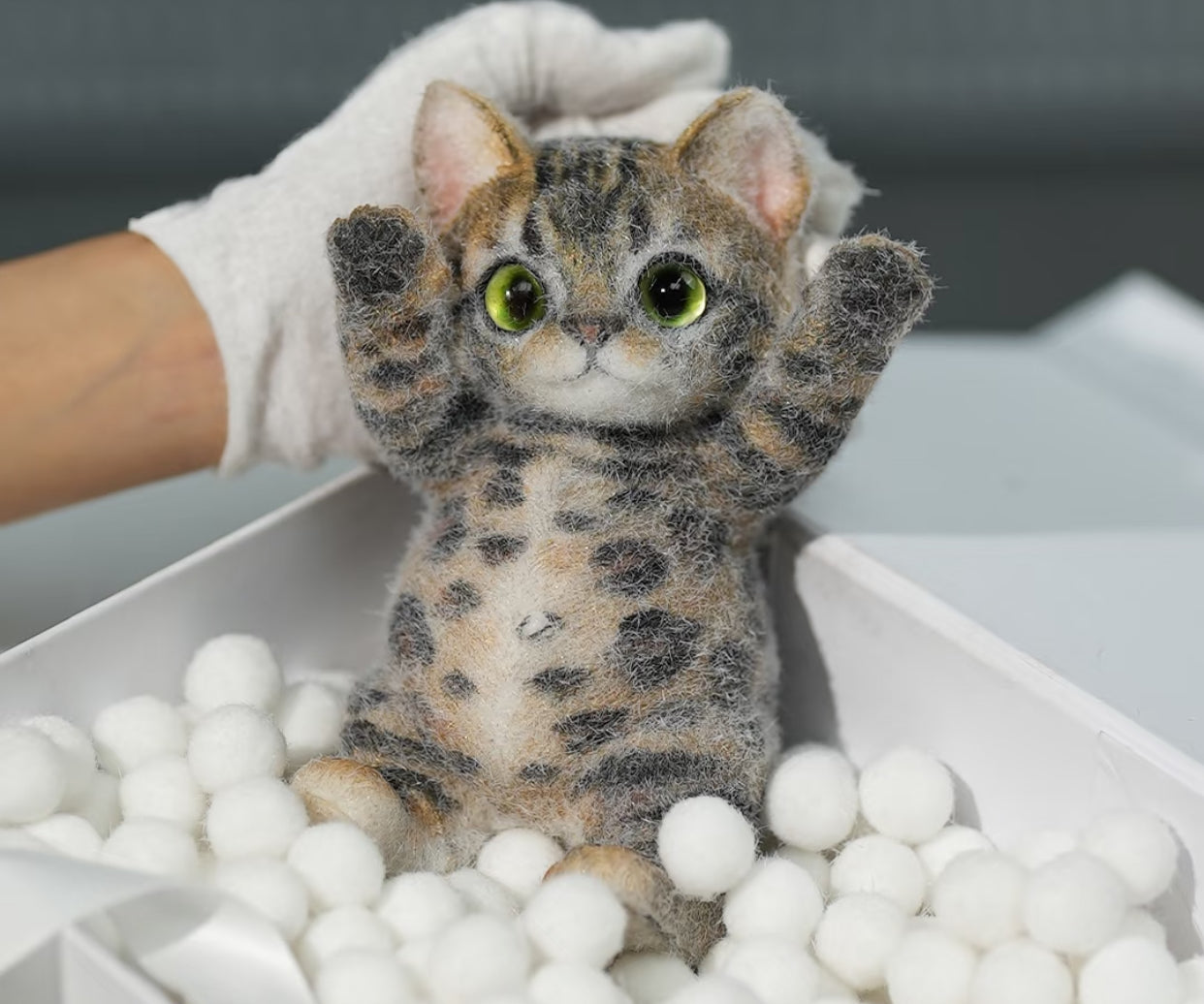 1KG Chubby Cat ruirui Squishy toy