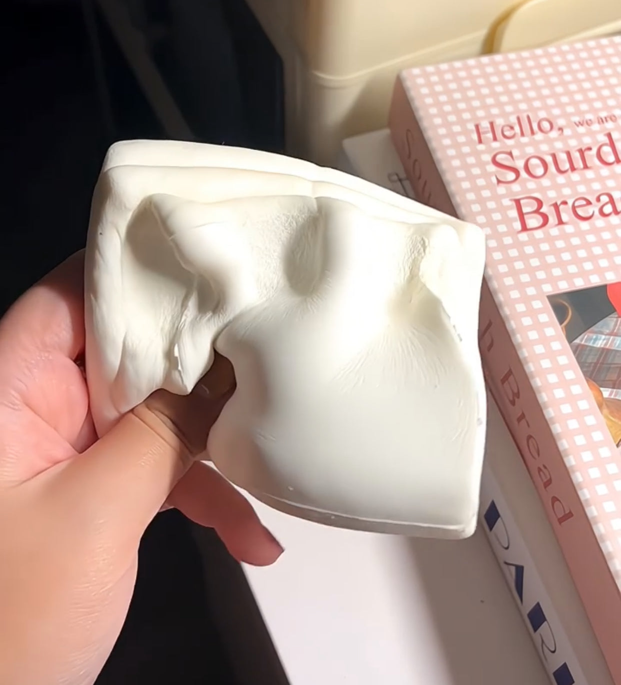 Charred Marshmallow ruirui Squishy toy