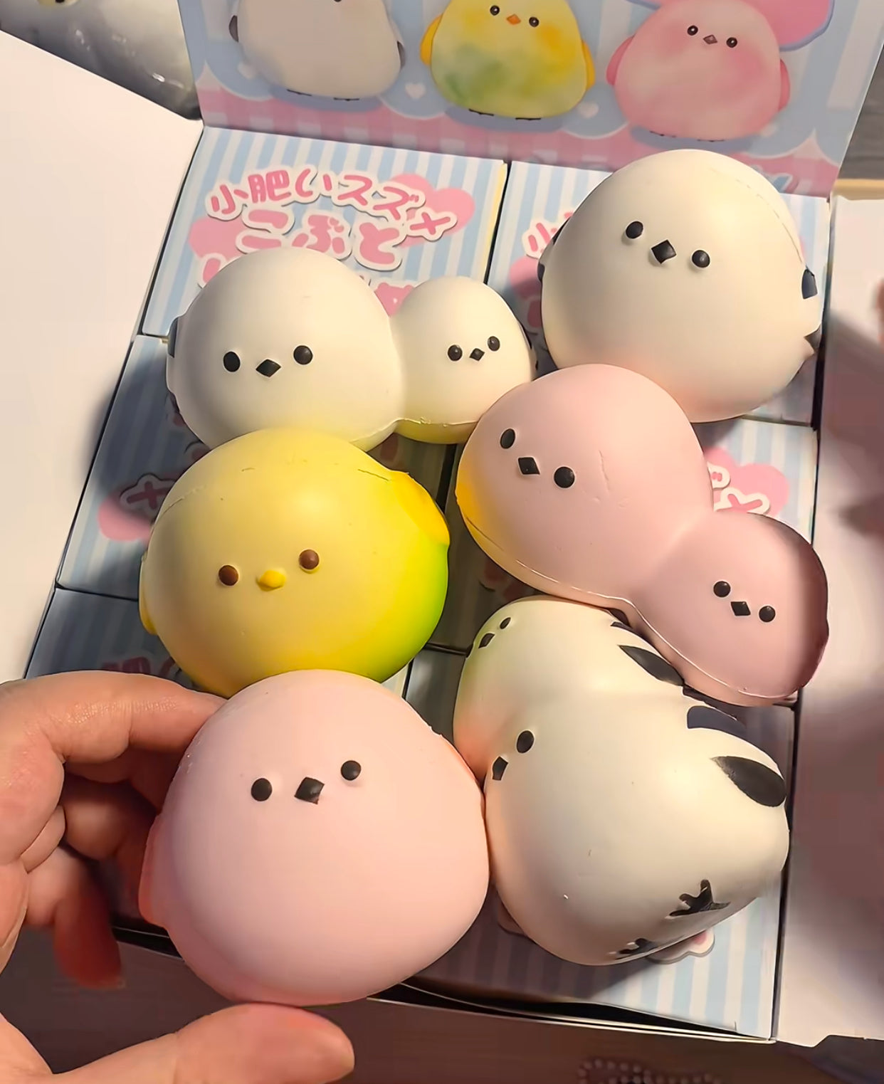 Chubby Bird Blind Box Squishy