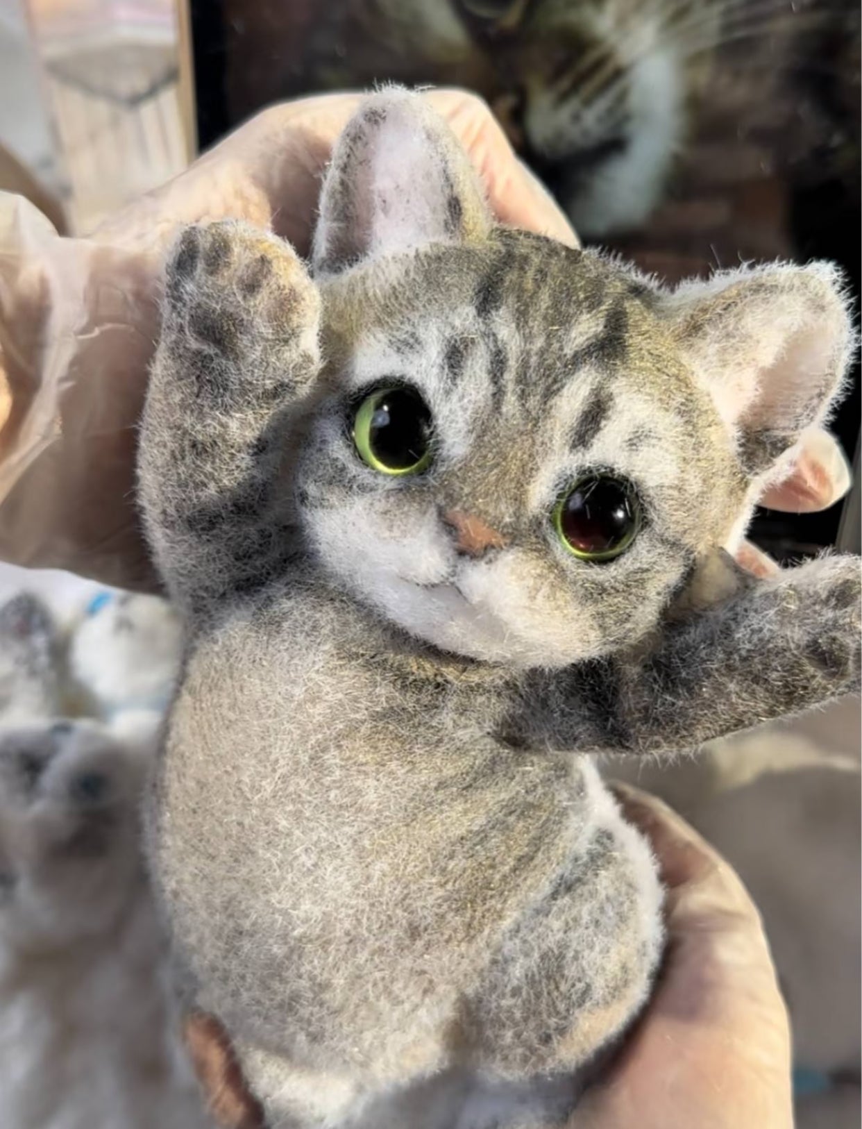 1KG Chubby Cat ruirui Squishy toy