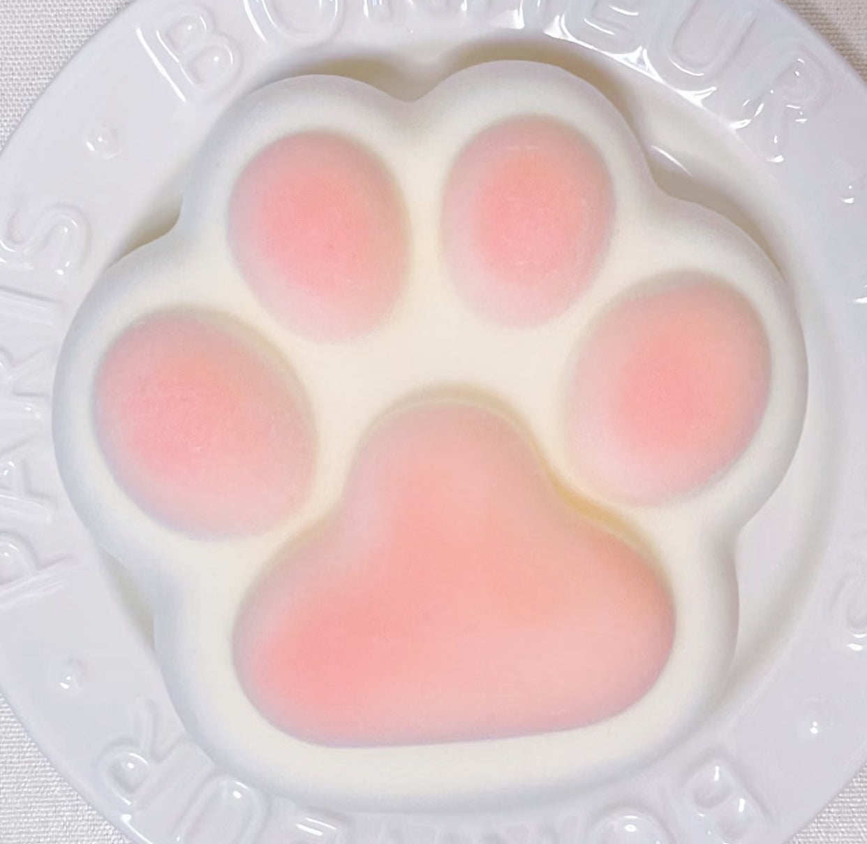 Giant Cat Paw ruirui Squishy toy