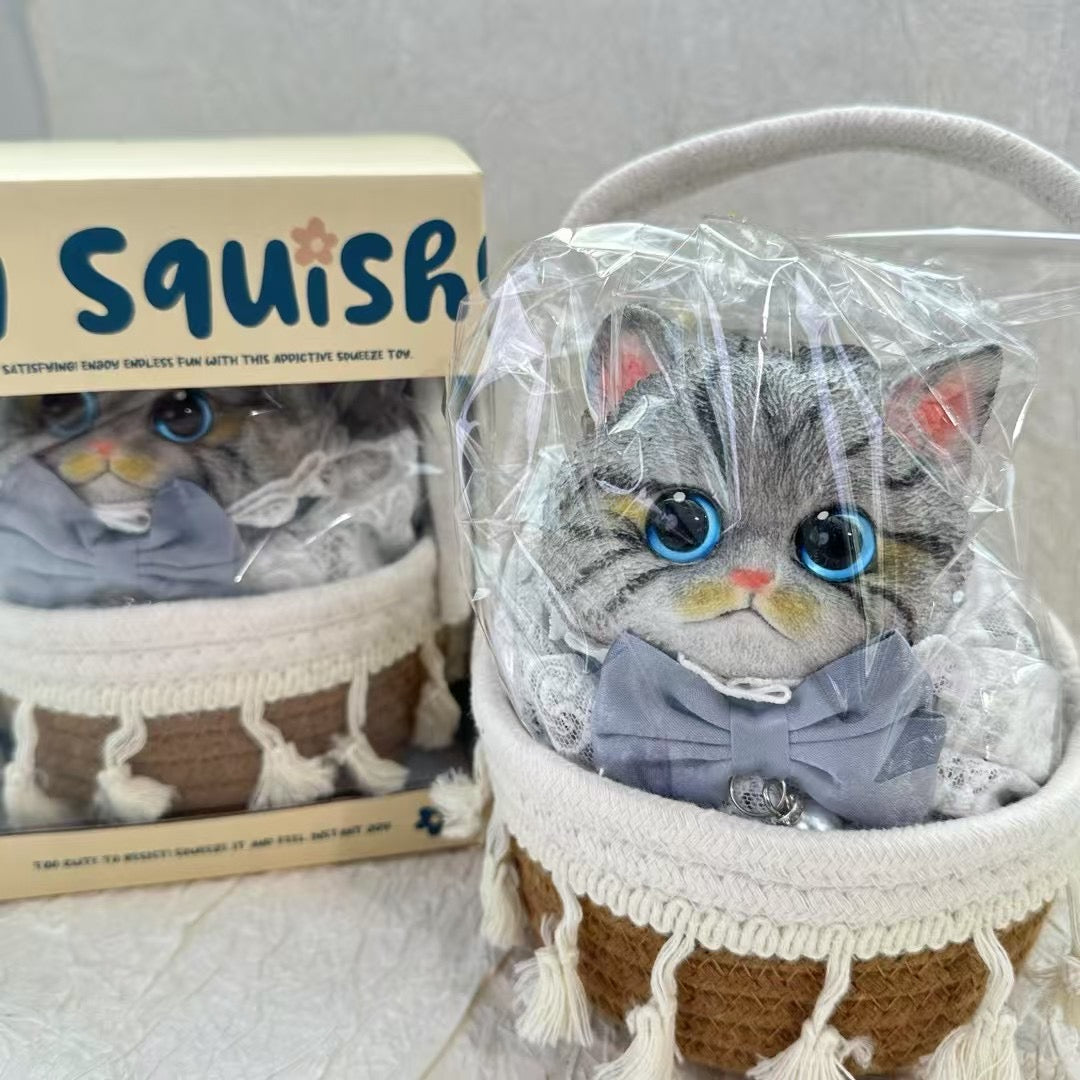 Cat ruirui Squishy toy