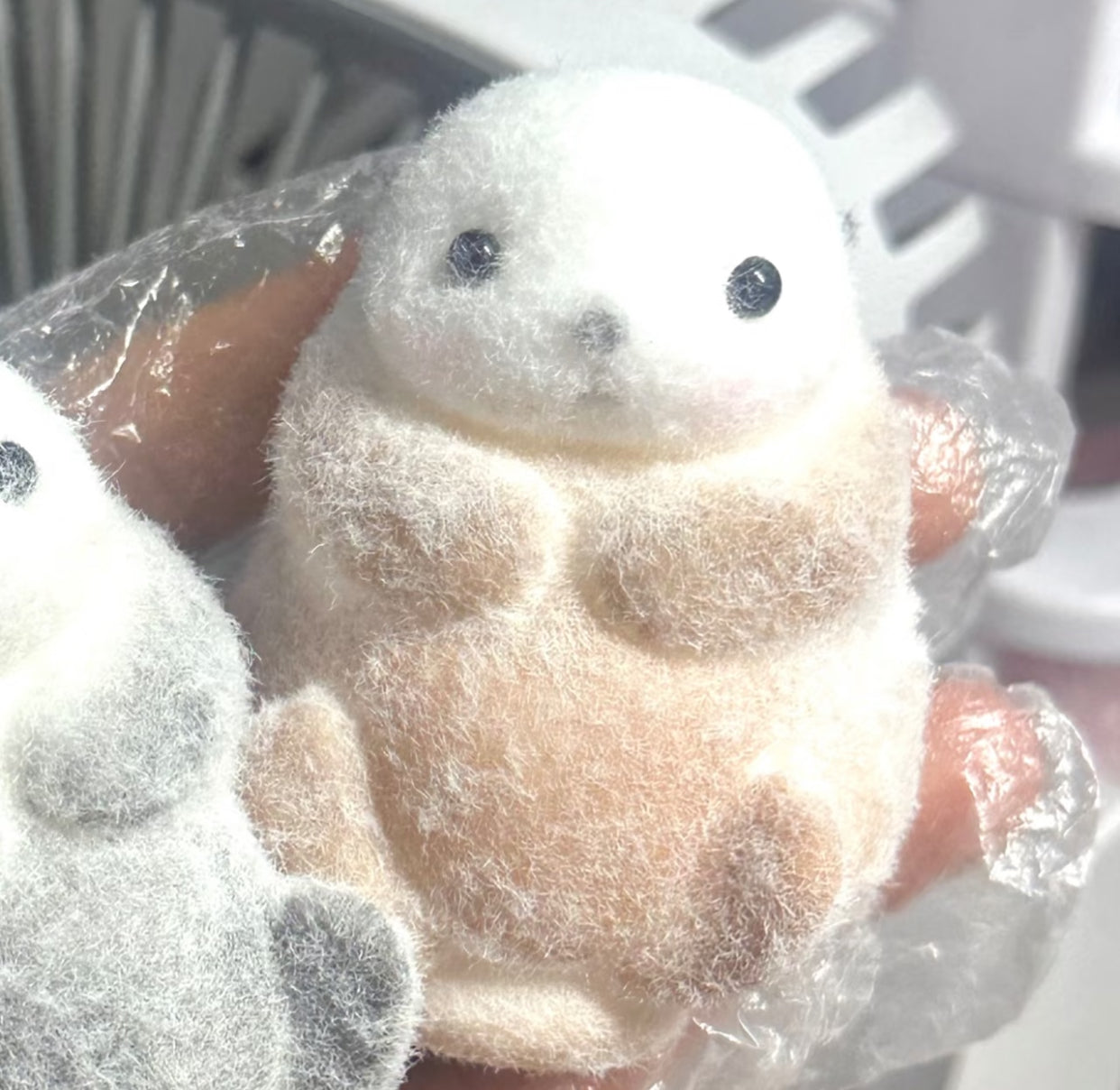 otter ruirui Squishy toy