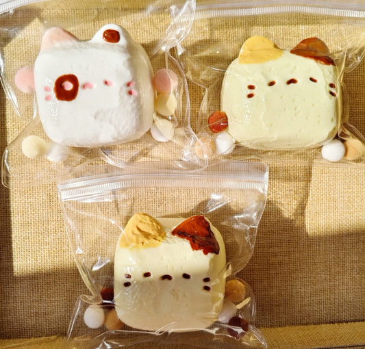 Cube Cat ruirui Squishy toy