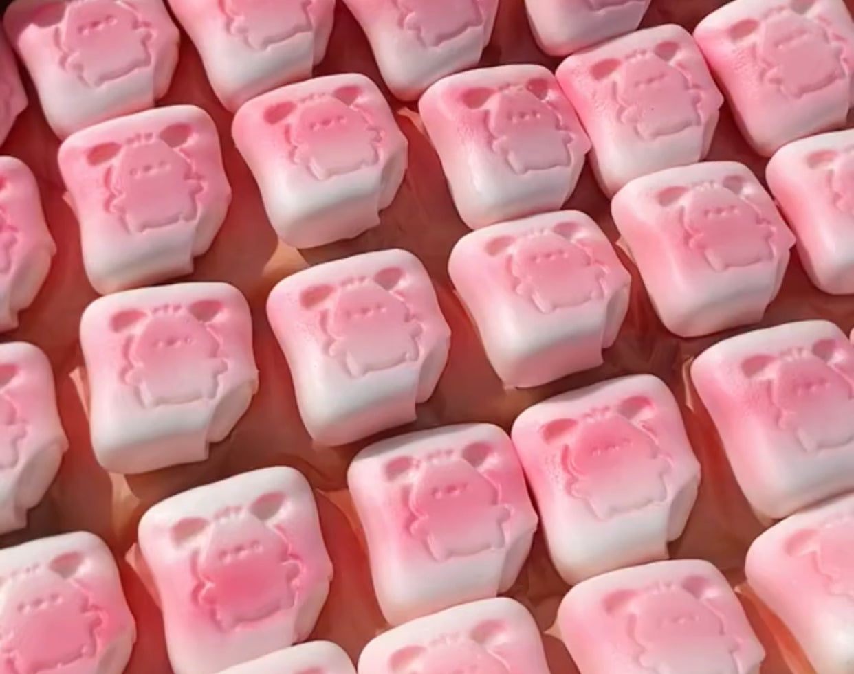5pcs Pochacco  ruirui Squishy toy