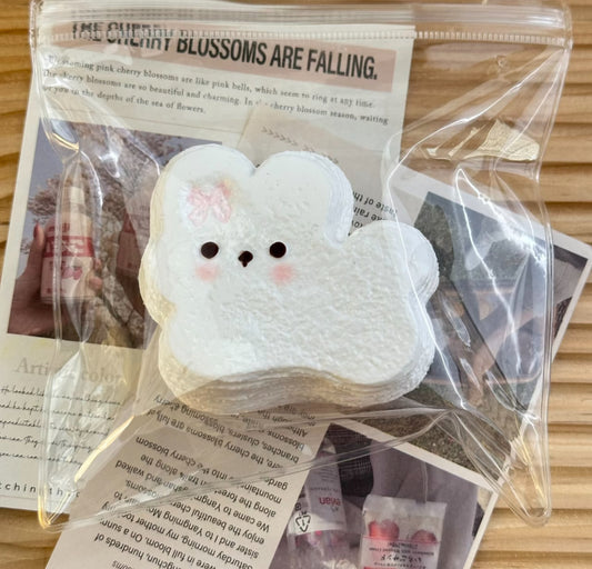 Running Bunny ruirui Squishy toy