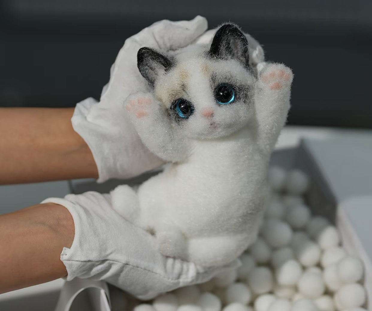 1kg 통통한 고양이 루이루이 스퀴시 장난감