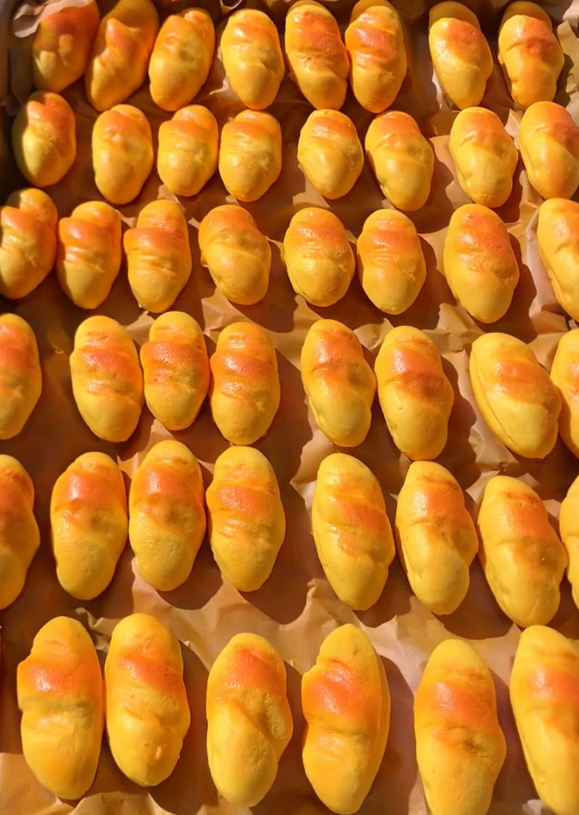 5pcs Cheesecake ruirui Squishy toy