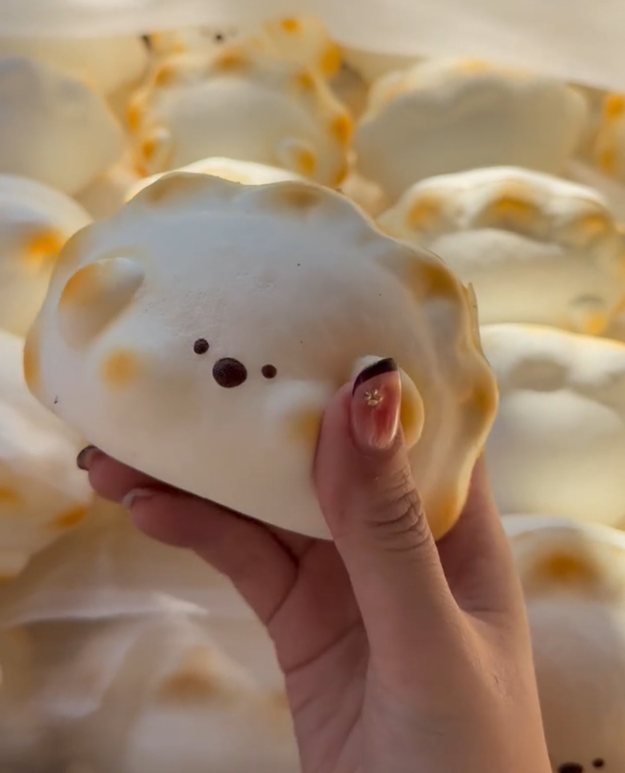 Puppy Dumpling Slow-Rise ruirui Squishy toy