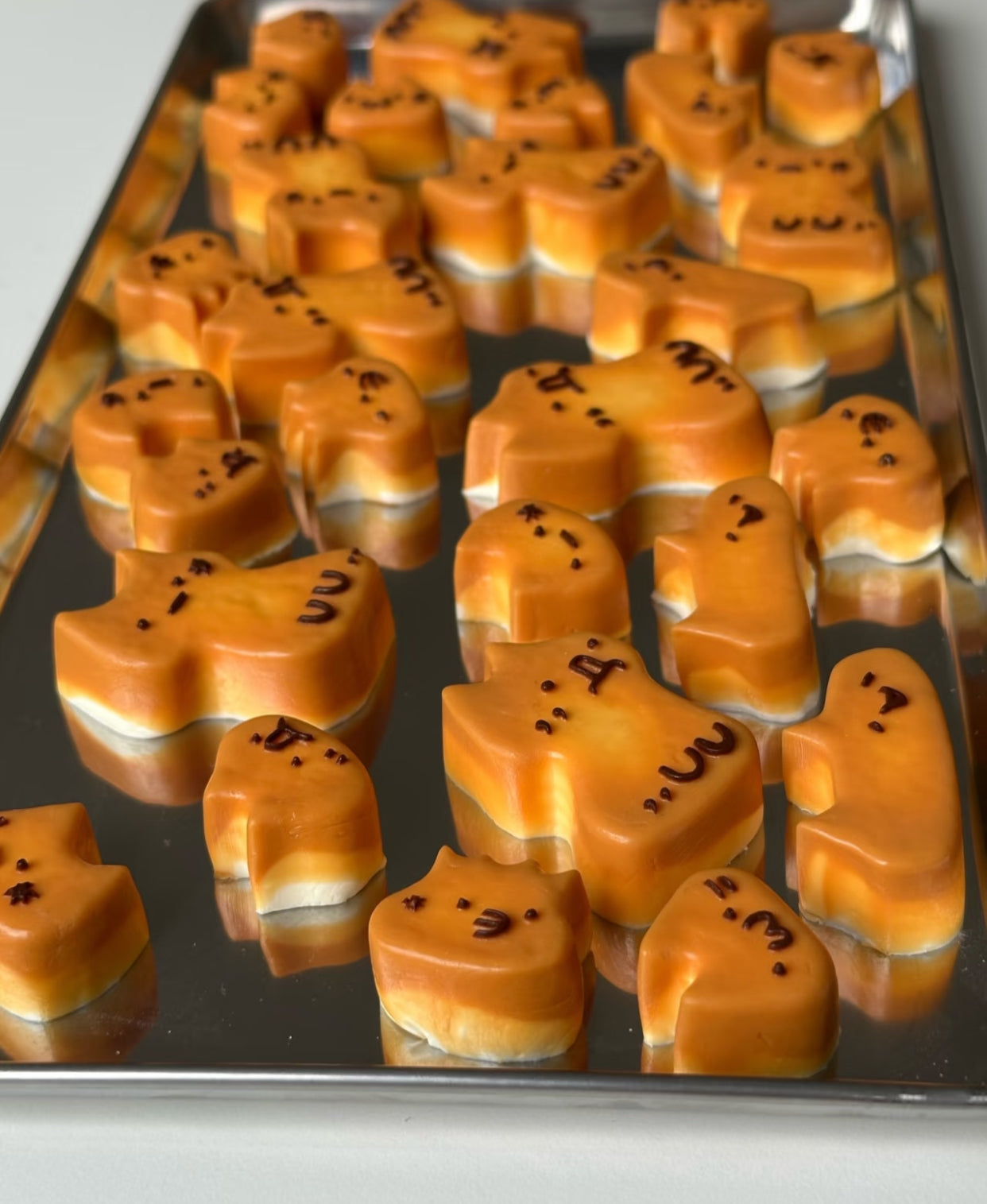 Handmade custom "bag of cat cookies”ruirui squishy toy
