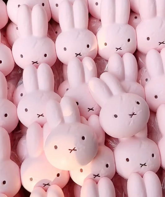 Pink rabbit ruirui squishy toy