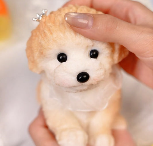 Dog ruirui  Squishy toy