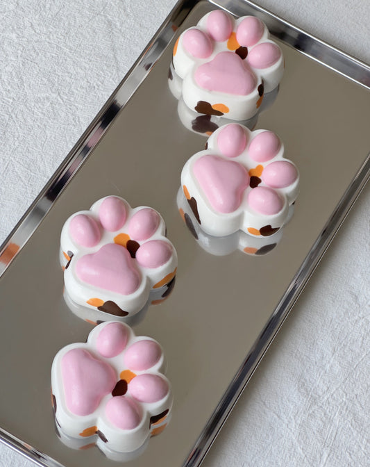 Cat paw ruirui squishy toy