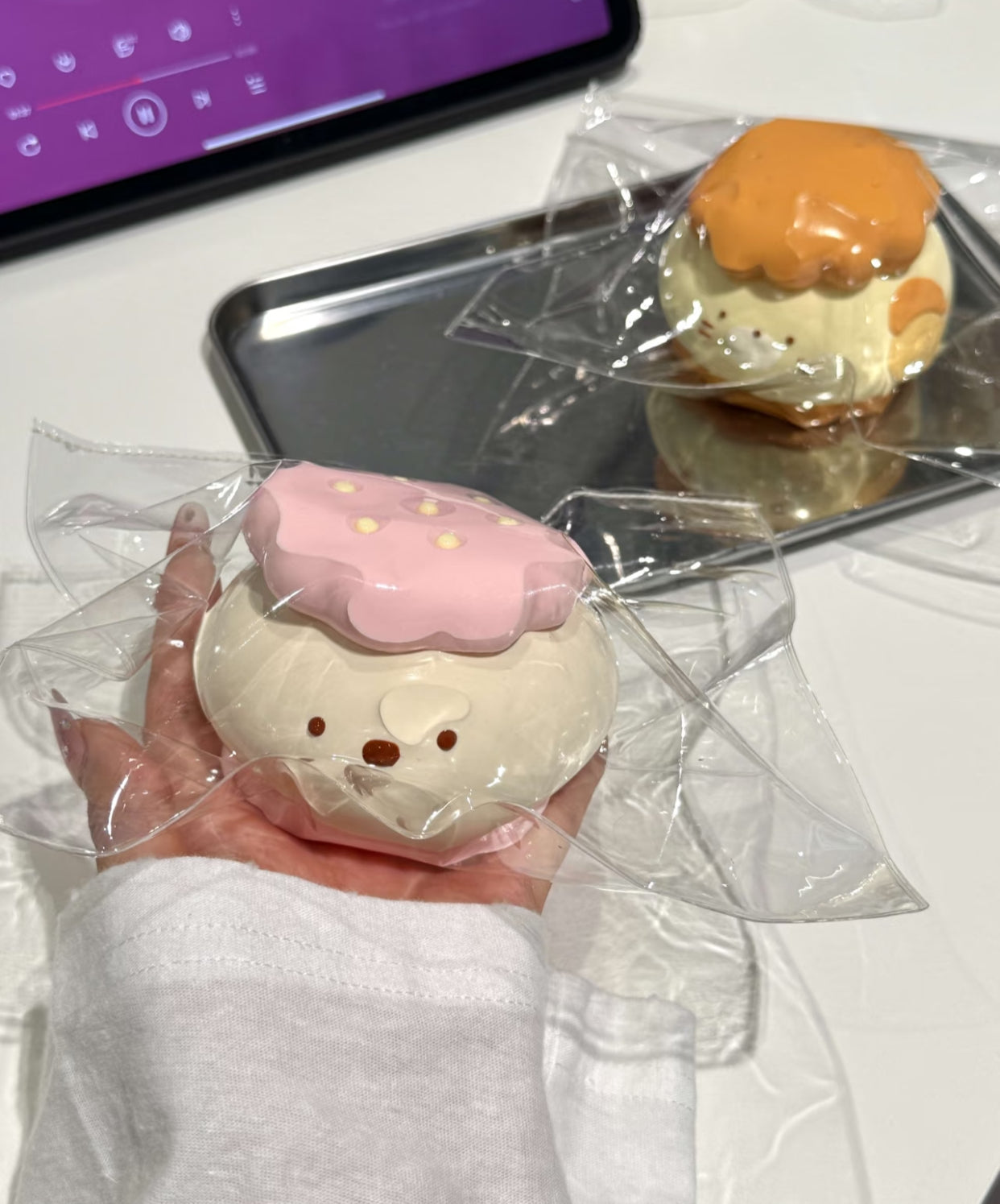 Sandwich Cookie ruirui Squishy toy