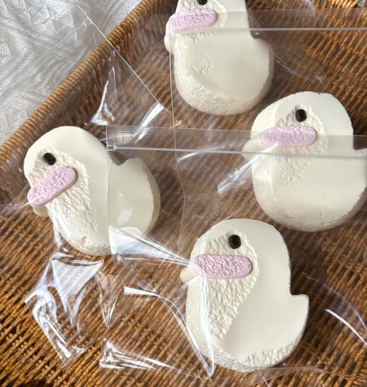 Duck ruirui squishy toy