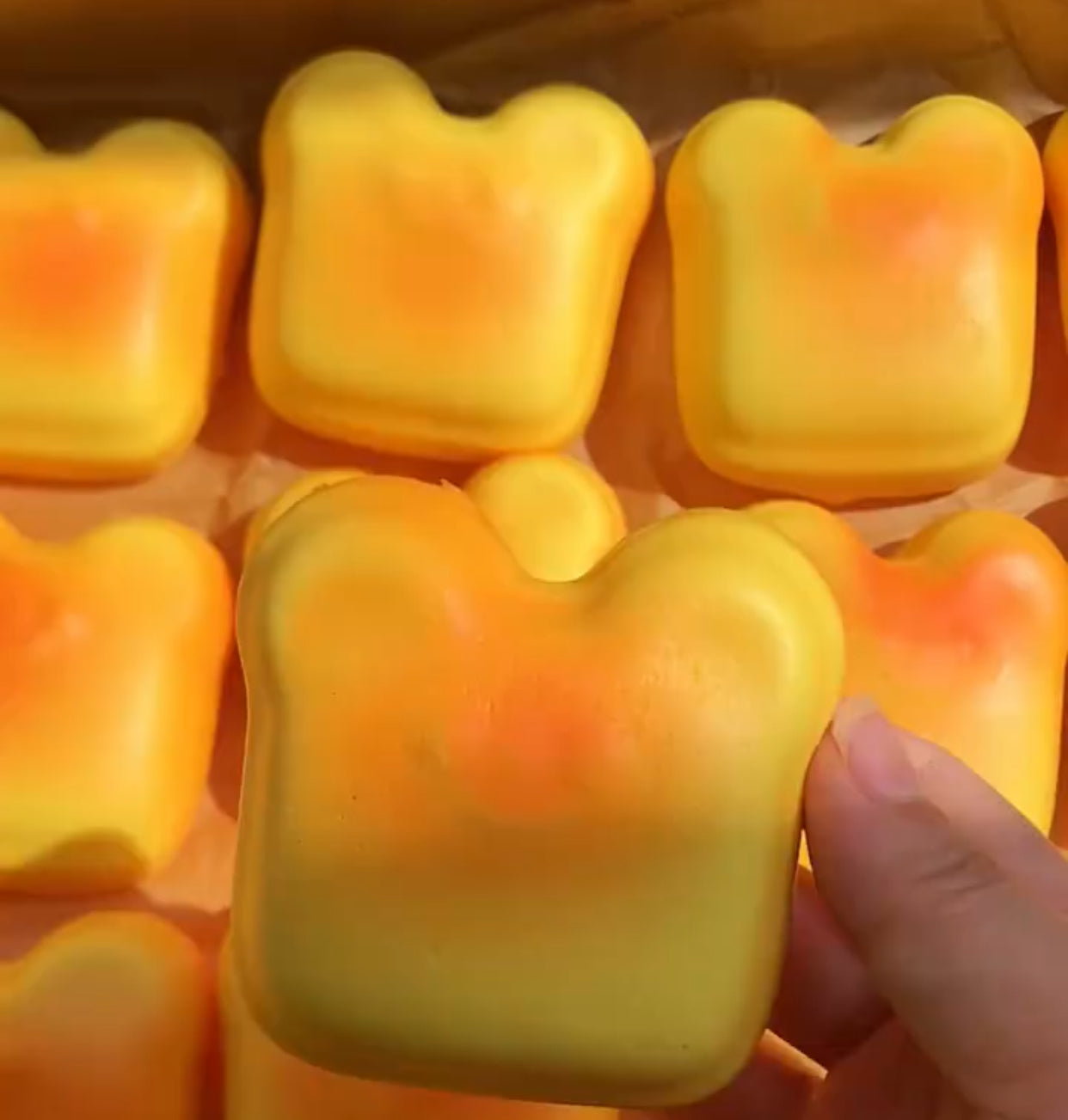 3pcs cat toast Slow-Rise ruirui squishy toy