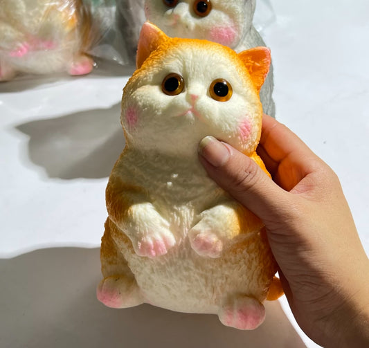 Cat Slow-Rise ruirui Squishy toy