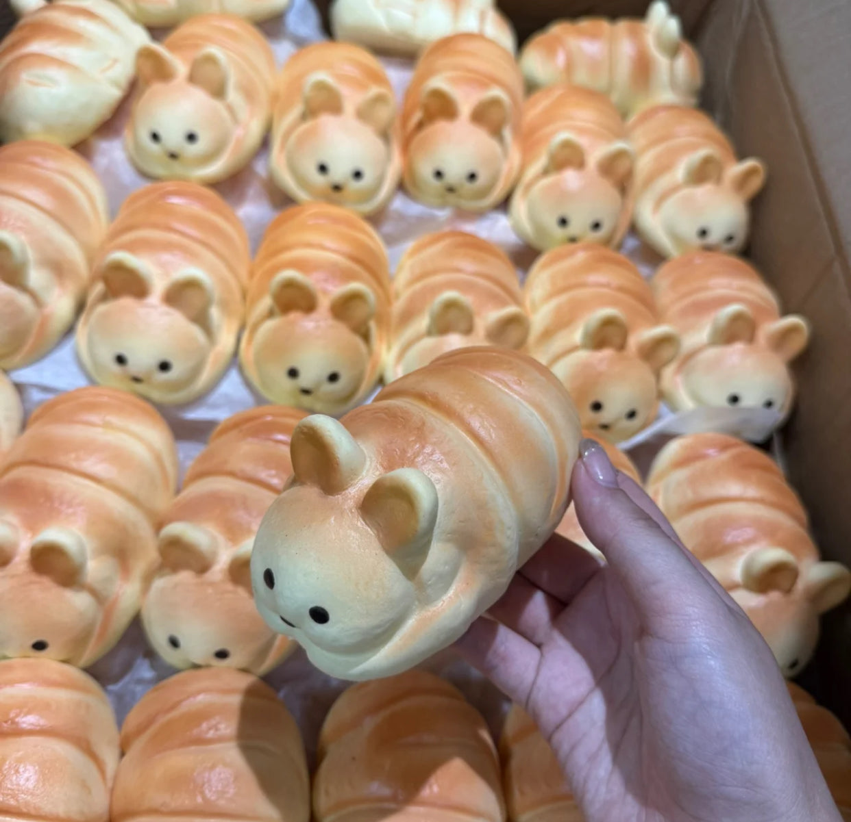 Rabbit caterpillar bread ruirui squishy toy