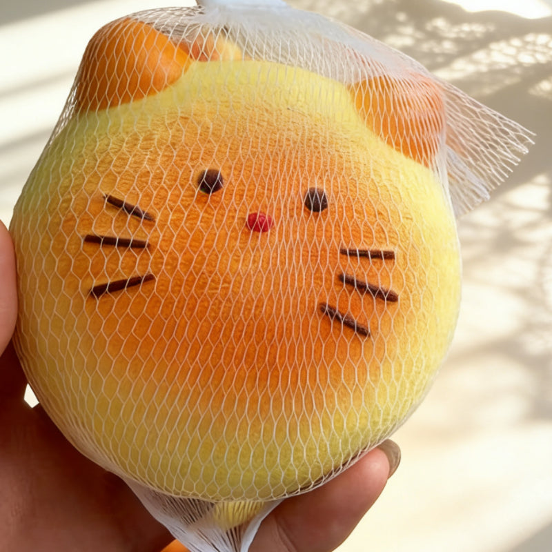 Cat Pancake Slow-Rise ruirui Squishy toy